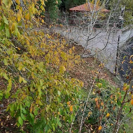 Kampi Double Storey House In The Village Деревянный коттедж Никосия