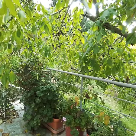 Kampi Double Storey House In The Village