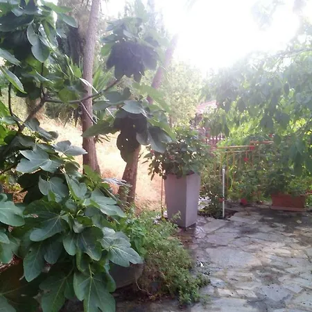Lodge Kampi Double Storey House In The Village