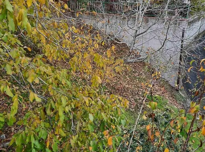 Kampi Double Storey House In The Village Jaktstuga Nicosia