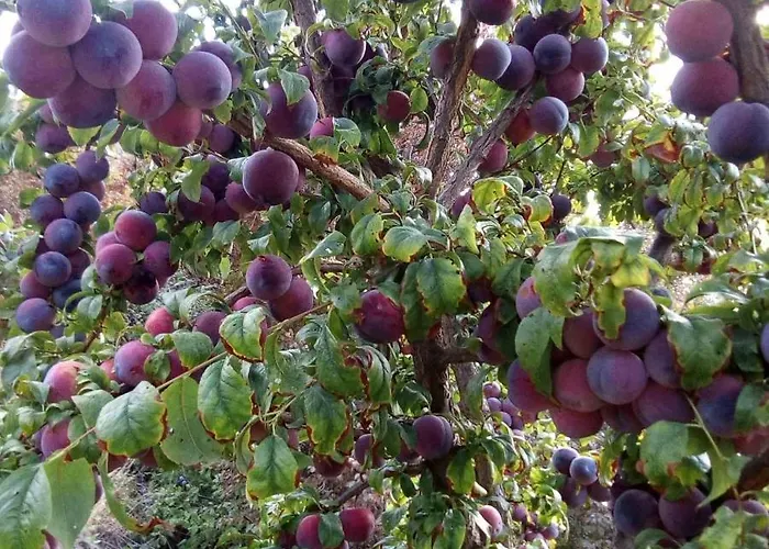 Jaktstuga Kampi Double Storey House In The Village Nicosia