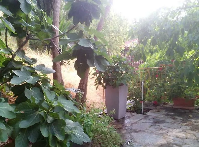 Lodge Kampi Double Storey House In The Village