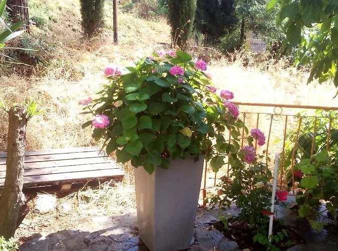 Lodge Kampi Double Storey House In The Village *